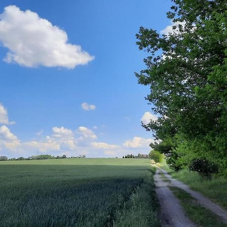 Vierseitenhof Hasenfelde - Ferienwohnung Feldblick Steinhofel 외부 사진