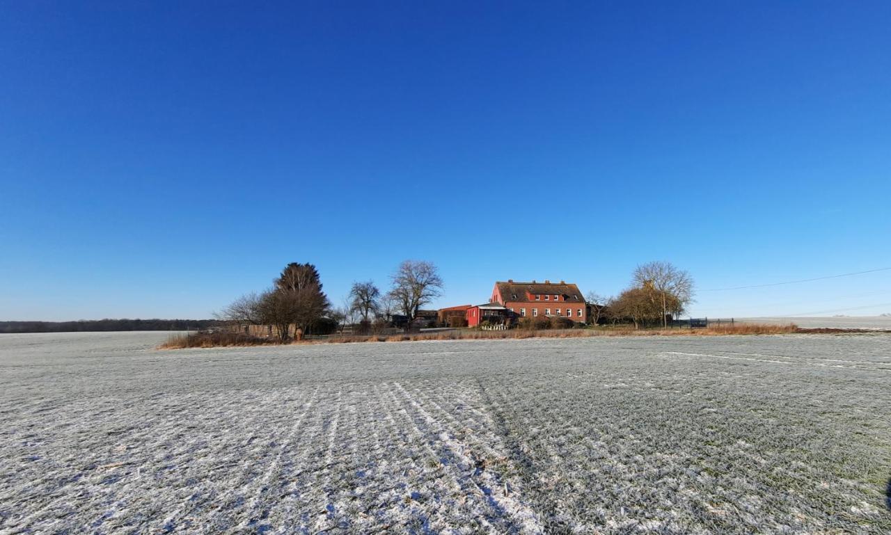 Vierseitenhof Hasenfelde - Ferienwohnung Feldblick Steinhofel 외부 사진